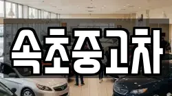 속초중고차