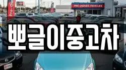 뽀글이중고차