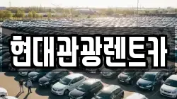 강원 속초시 금호동 렌트카,단기렌트카,장기렌트카,중고차,중고차매매,중고차매입