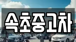 속초중고차