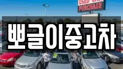 뽀글이중고차