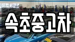 속초중고차