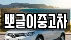 뽀글이중고차