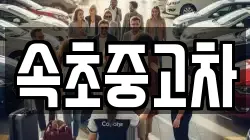 속초중고차