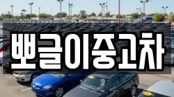 뽀글이중고차
