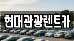 강원 속초시 조양동 렌트카,단기렌트카,장기렌트카,중고차,중고차매매,중고차매입