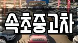 속초중고차
