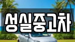 성실중고차