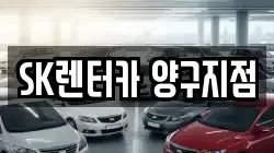 강원 양구군 양구읍 렌트카,단기렌트카,장기렌트카,중고차,중고차매매,중고차매입