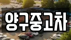 양구중고차