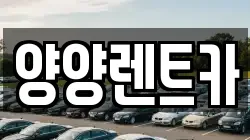 강원 양양군 서면 렌트카,단기렌트카,장기렌트카,중고차,중고차매매,중고차매입