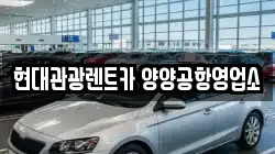 강원 양양군 손양면 렌트카,단기렌트카,장기렌트카,중고차,중고차매매,중고차매입