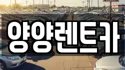 강원 양양군 렌트카,단기렌트카,장기렌트카,중고차,중고차매매,중고차매입