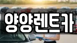 강원 렌트카,단기렌트카,장기렌트카,중고차,중고차매매,중고차매입