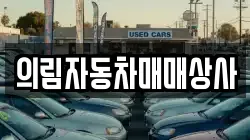 의림자동차매매상사