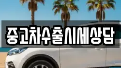 중고차수출시세상담