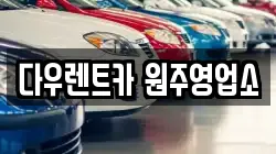 다우렌트카 원주영업소