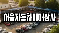 서울자동차매매상사