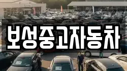 보성중고자동차