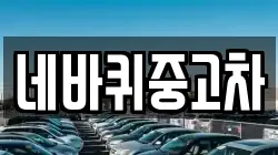 네바퀴중고차