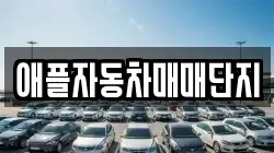 애플자동차매매단지
