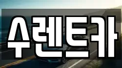 수렌트카