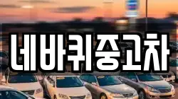 네바퀴중고차