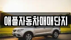 애플자동차매매단지
