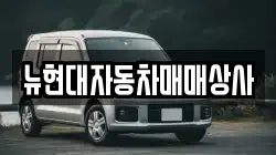뉴현대자동차매매상사