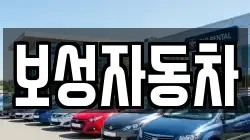 보성자동차