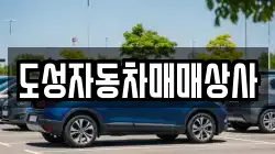 도성자동차매매상사
