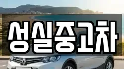 성실중고차