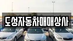 도성자동차매매상사