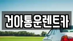 강원 정선군 사북읍 렌트카,단기렌트카,장기렌트카,중고차,중고차매매,중고차매입