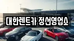 강원 정선군 정선읍 렌트카,단기렌트카,장기렌트카,중고차,중고차매매,중고차매입