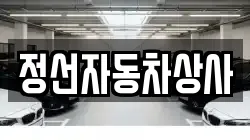 정선자동차상사