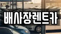 배사장렌트카