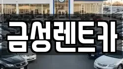 금성렌트카