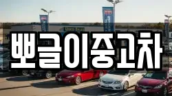 뽀글이중고차