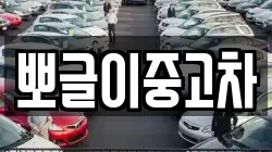 뽀글이중고차
