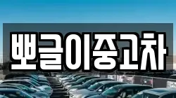 뽀글이중고차