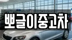 뽀글이중고차