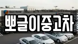 뽀글이중고차