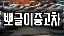 뽀글이중고차