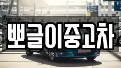 뽀글이중고차