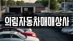 강원 태백시 혈동 렌트카,단기렌트카,장기렌트카,중고차,중고차매매,중고차매입