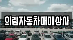 의림자동차매매상사