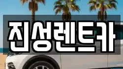 진성렌트카