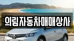 의림자동차매매상사
