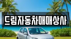 드림자동차매매상사